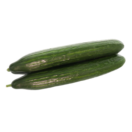 CONCOMBRE 500/600 14PCS